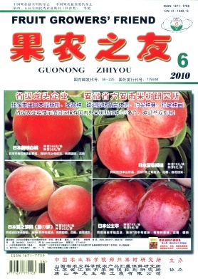 柑橘种后抓管理  及时投产早受益
