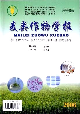 中性紫色土施氮对小麦氮素吸收利用及产量和品质的影响