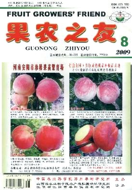 柑橘粉虱危害严重的原因及控制措施
