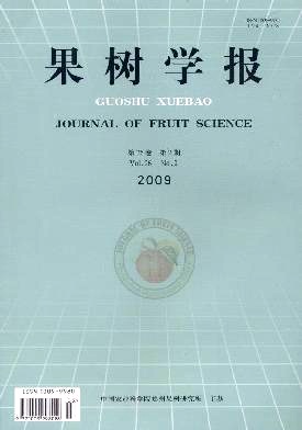 锦橙叶片镁质量分数与若干光合指标的相关性