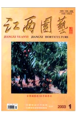 介绍两个特异新优脐橙良种