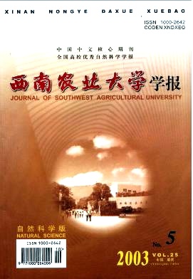 不同高接换种和管理方式对柑桔枝梢的影响