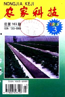 早熟优质杂交新品种——麻波桔柚