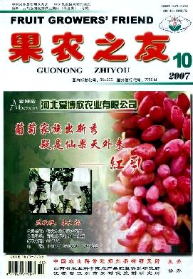 柑橘容器苗定植和幼树管理