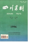 全国果树生产又上新台阶