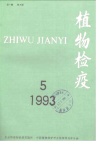 柑桔花叶病的发生、鉴定与防治