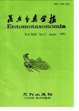 寄生柑桔矢尖蚧的黄蚜小蜂属一新种(膜翅目:蚜小蜂科)(英文)