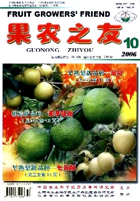 柑桔网纹绵蚧的防治