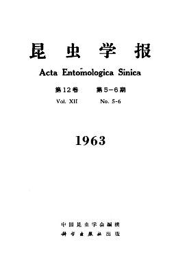 利用澳洲瓢虫防治吹绵蚧初步研究