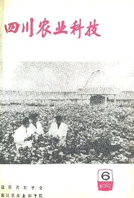 柑桔速成嫁接育苗技术