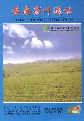 苦丁茶的研究进展