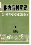 优良的砧木资源:11—1单胚香橙