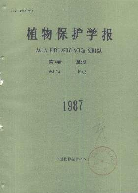 通过茎尖嫁接脱除柑桔黄龙病病原体