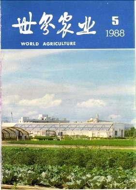 世界的甜橙生产