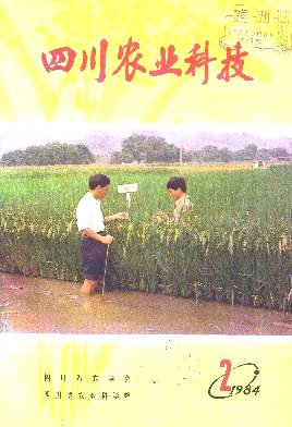四川柑桔密植栽培调查