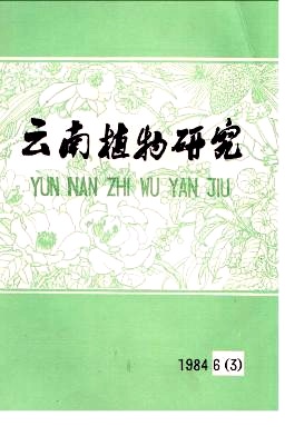 内囊霉科检索表的增补和新种——柑桔球囊霉