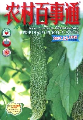 介绍几个杂柑优良品种