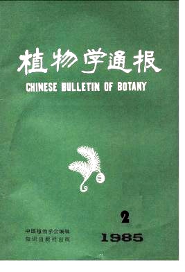 柑桔园种植田菁的生态效应研究