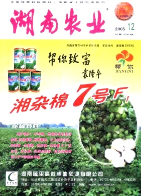 柑桔高接换种五注意