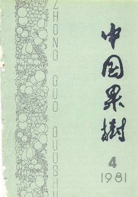 果树的菌根营养
