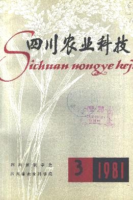 锦橙的扦插研究