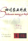 枳根嫁接一年成苗