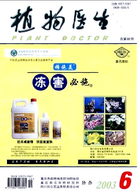一种室内饲养日本方头甲的方法