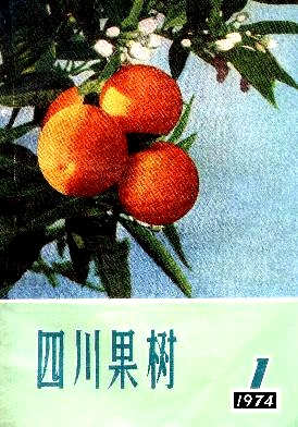 提高柑桔产量和质量几项技术措施的建议
