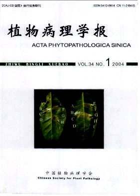 柑桔溃疡病菌PCR快速检验检疫技术研究
