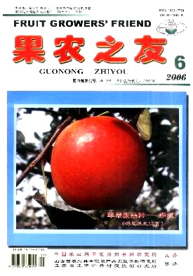 我国脐橙生产现状及发展对策