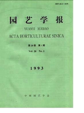 脐橙剥皮再生的解剖研究