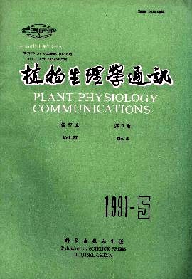柑桔果实鲜重和体积增长的研究