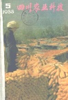 锦橙特性及其区域适应性