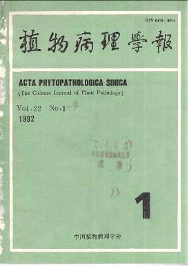 柑桔根线虫病研究