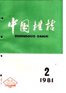 温州蜜柑根系回缩移植试验