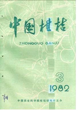 广东观赏盆桔栽培技术