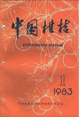 广西推广柑桔压顶更新修剪技术