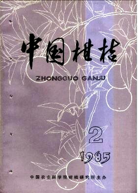 一株结果1786斤的红桔树