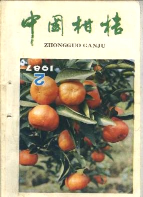 温州蜜柑夏季修剪技术