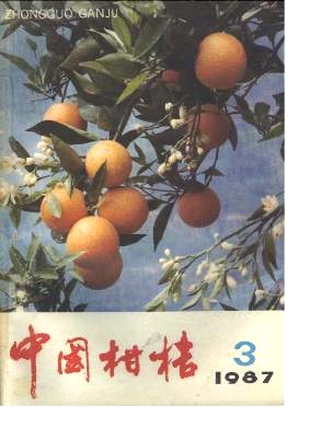 幼龄温州蜜柑秋梢抗寒性试验