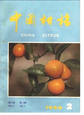 干旱期树盘覆盖及不同灌水量对温州蜜柑生长结果的影响