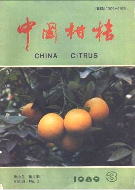 一个新型的柑桔技术服务组织