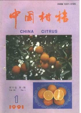人工授粉防止玉环柚裂果