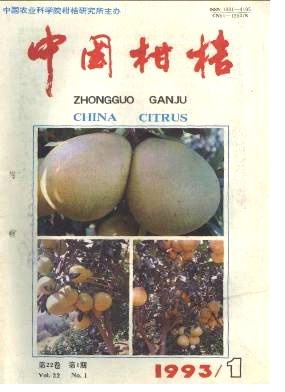雪柑砧木比较试验
