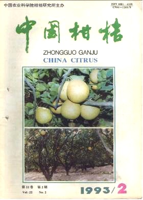 自制柑桔涂果器