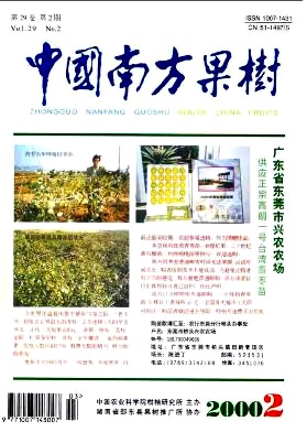 台湾印度枣品种简况