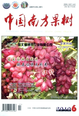 柑桔容器苗种植技术