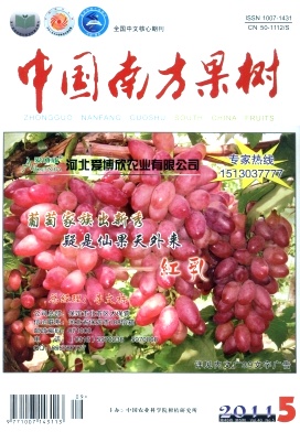 杨梅大树优质高效栽培改造技术