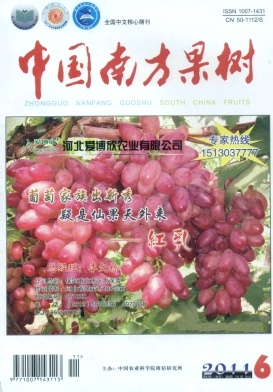 南酸枣不同嫁接方法对比试验