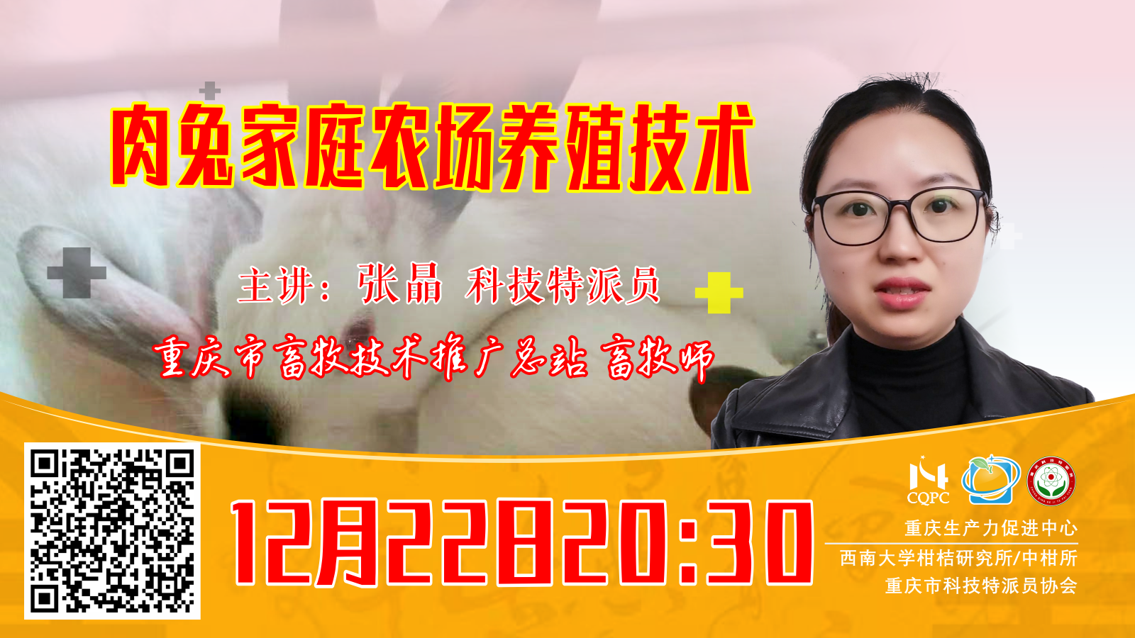 肉兔家庭农场养殖技术